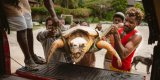 Au Kenya, le travail d’une ONG pour protéger les tortues marines des activités humaines