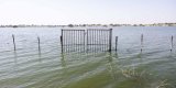 Les riverains du lac Tchad pris en étau entre Boko Haram et la montée des eaux