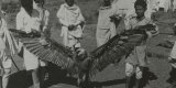 « Poussière d’oiseaux », de Julien Bondaz : l’ethnologie coloniale dévoreuse d’oiseaux