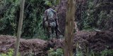 Est de la RDC : les belligérants soupçonnés de « crimes de guerre »