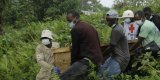 En RDC, le bilan des dernières attaques des Forces démocratiques alliées passe à 89 morts