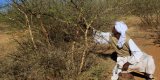 Au Soudan, une attaque contre un village de l’ouest du pays cause la mort de trente civils en (…)