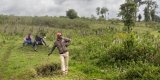 Au Kenya, des chasseurs-cueilleurs expulsés de leurs forêts ancestrales