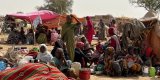 Guerre au Soudan : la tragédie humanitaire des déplacés au Darfour