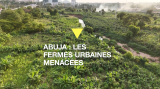 À Abuja, les fermes urbaines menacées par la promotion immobilière