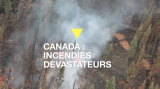 Canada : des incendies dévastent l'ouest du pays