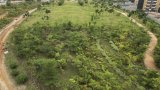 L'instant + : à Abidjan, une ancienne décharge transformée en un grand parc urbain