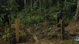 Est de la RDC: le bilan des massacres attribués au groupe ADF revu à la hausse, la colère monte (…)