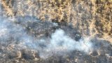 Namibie: l'incendie qui a ravagé le parc Etosha, en partie maitrisé, mais les dégâts sont importants