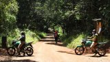 Kenya: les amis de Karura récupèrent la cogestion de la forêt