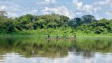 Sports traditionnels: en Centrafrique, la course de pirogues est un sport sacré [6/10]