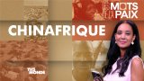Commerce, diplomatie, engagement militaire... La Chinafrique, une coopération stratégique