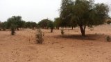 Niger: au moins 71 morts lors d'une attaque menée dans la commune de Manda