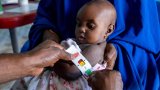 Nigeria: le nord-est du pays en proie à une crise alimentaire sans précédent