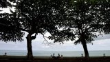L'Unesco désigne 26 nouvelles réserves de biosphère dont l'île de São-Tomé-et-Principe