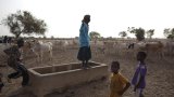 Sahel: la gestion de l'eau, source de conflits entre éleveurs et agriculteurs