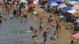 On ne peut pas se baigner: en Algérie, une algue brune venue du Pacifique prolifère et recouvre (…)