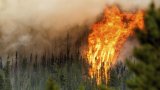 Canada : les feux de forêts évoluent, une deuxième province en état d'urgence