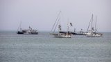Drones, objets largués, communications brouillées... La flottille pour Gaza se dit ciblée en mer (…)