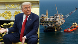 Pétrole, gaz... Donald Trump lance en pleine COP30 de nouvelles concessions en mer sur une surface grande comme (…)