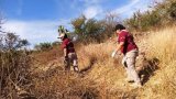 Les Mexicaines en quête de leurs disparus, au péril de leur vie