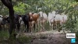 Présidentielle en Côte d'Ivoire : quels sont les enjeux sécuritaires ?