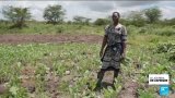 Kenya : mieux réglementer le secteur agricole