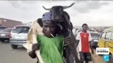 Aïd el-Kebir au Nigeria : des célébrations plombées par l’inflation