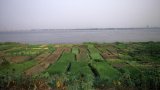 Congo-Brazzaville: la société italienne Eni lance une unité de production d’huile dans le sud du (…)