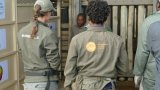 Quand l'Afrique du Sud donne ses rhinocéros à ses voisins africains [3/3]