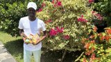 Le poivre de Tiassalé, affaire de terroir en Côte d'Ivoire