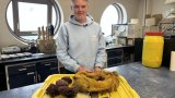 Canada : l'écosystème marin des côtes de Terre-Neuve sous la loupe d'un scientifique québécois