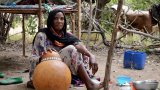 Tchad: les tribus nomades débutent la transhumance vers le Sud