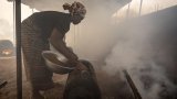 Karité, quatre pays producteurs ferment leurs exportations d'amandes brutes