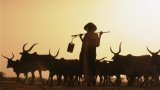 Comment convaincre les jeunes Africains de se lancer dans l'agriculture?