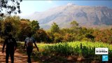 L'instant + : au Malawi, le mont Mulanje inscrit au patrimoine mondial de l'Unesco