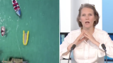 Conférence des Nations Unies sur l'Océan : On est sur une trajectoire d'auto-destruction !