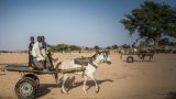 Violences intercommunautaires au Tchad: la conférence des évêques catholiques tire encore la (…)