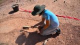 A Eggs-en-Provence, une pouponnière à dinosaures unique au monde