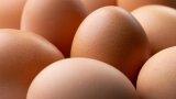 L'interprofession des oeufs s'inquiète d'importations d'Ukraine par les distributeurs