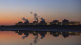 Des méduses forcent l'arrêt de la centrale nucléaire de Gravelines