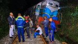 Sri Lanka: six éléphants tués lors d'une collision avec un train