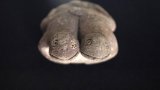 Pérou : découverte d'une rare sculpture de grenouilles vieille de 3.800 ans