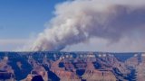 Un incendie ravage depuis un mois une partie du Grand Canyon