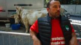 Accord UE-Mercosur: quel impact sur l'agriculture européenne ?