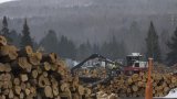 Le bois de construction et l'ameublement, nouvelles cibles des droits de douane de Donald Trump