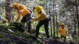 Mexique: opération massive de recherche de corps de disparus
