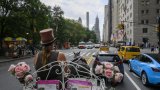 La menace plane à nouveau sur les calèches de Central Park