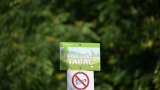 Plages, parcs, abords d'école... la cigarette interdite à compter du 1er juillet