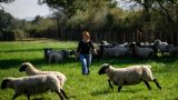 Une comédienne devenue éleveuse, un pari fou sauvé par une foncière solidaire